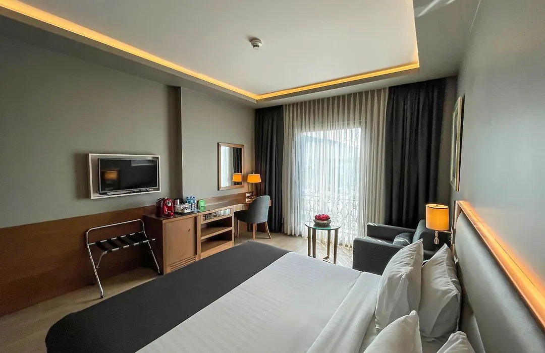 Holiday Inn Bursa - City Centre By Ihg-1